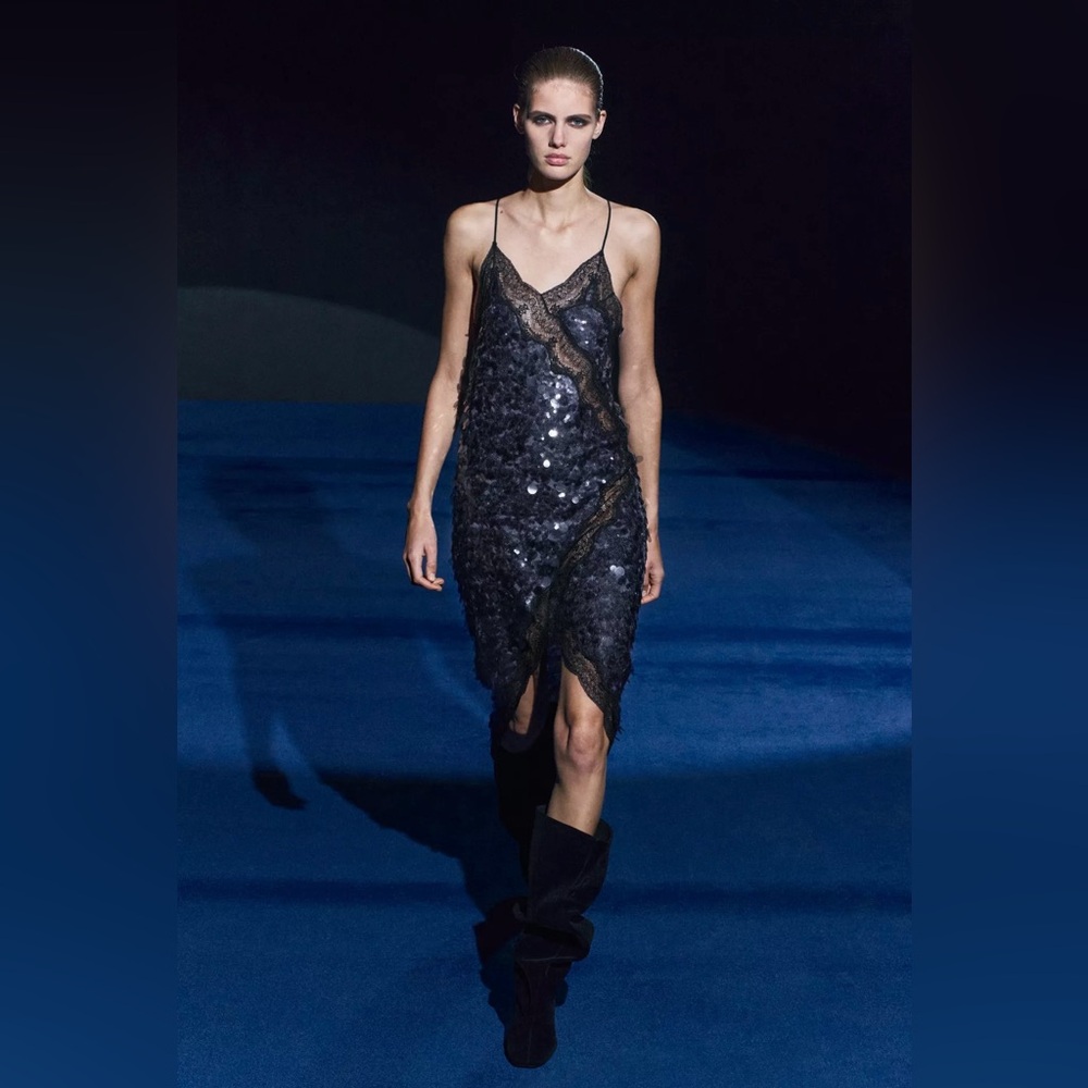 ZW Lace Sequin Dress